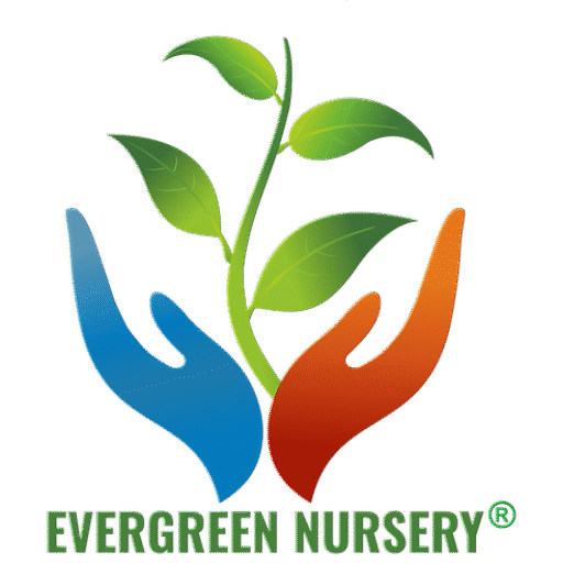 Evergreen Nursery Logo